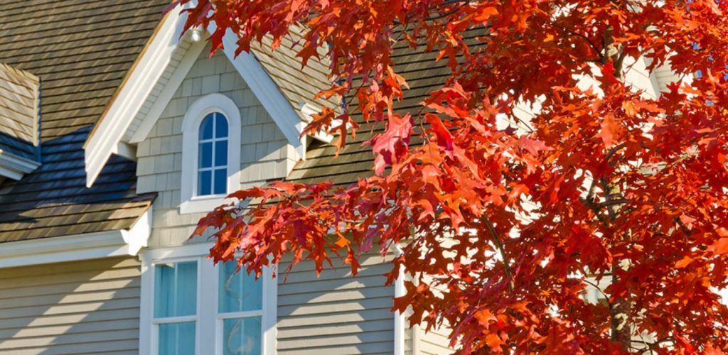 Why Fall Renovations Are a Good Idea